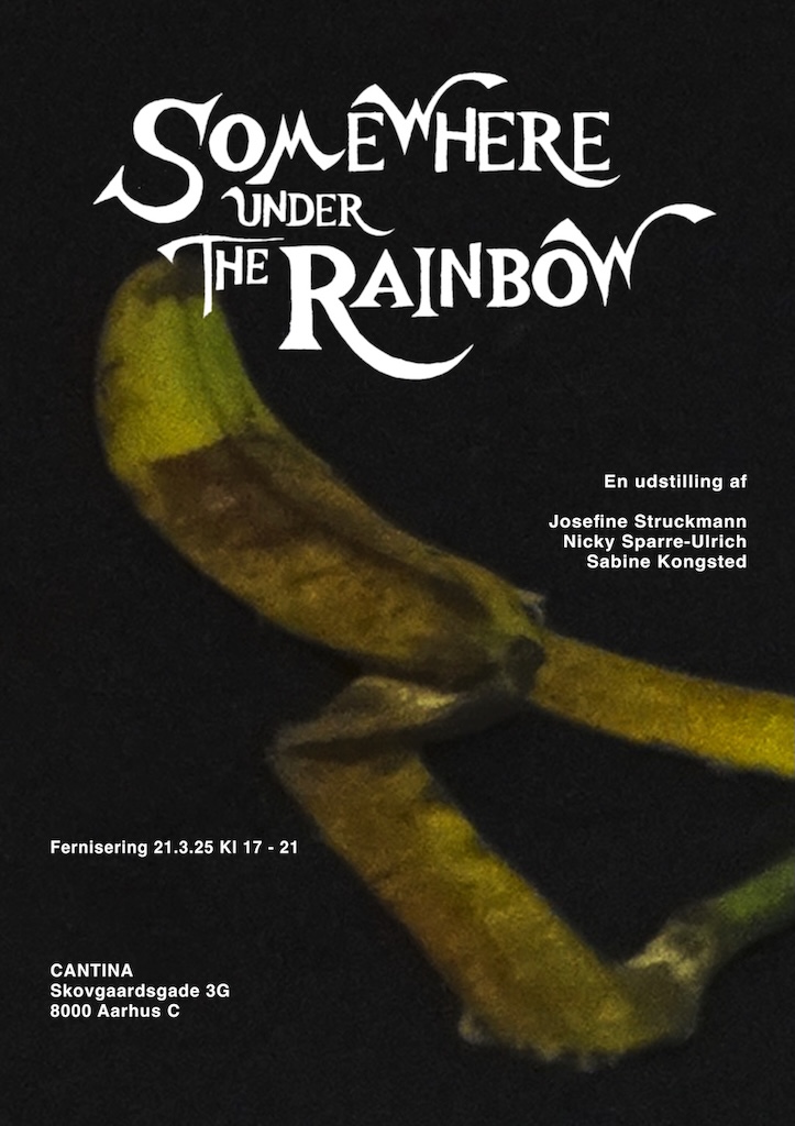 Somewhere Under The Rainbow